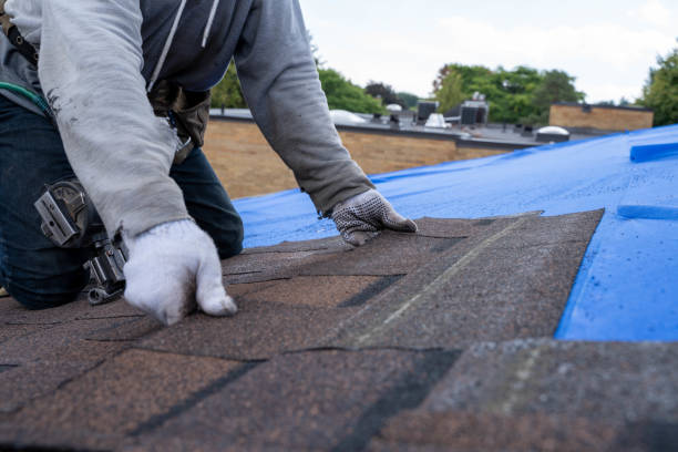Professional Roofing Contractor in Grove City, FL